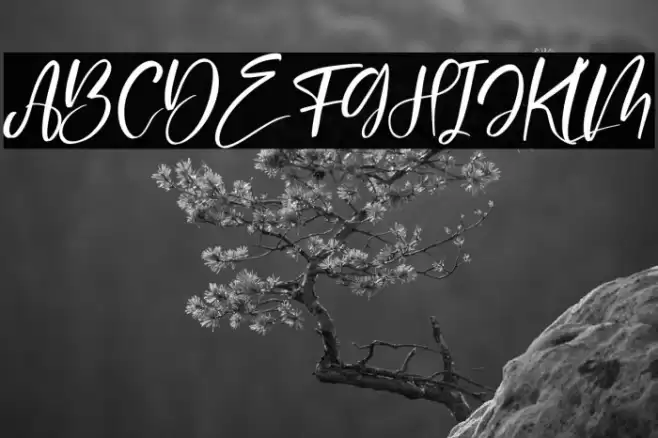 Delashanty Italic Font examples