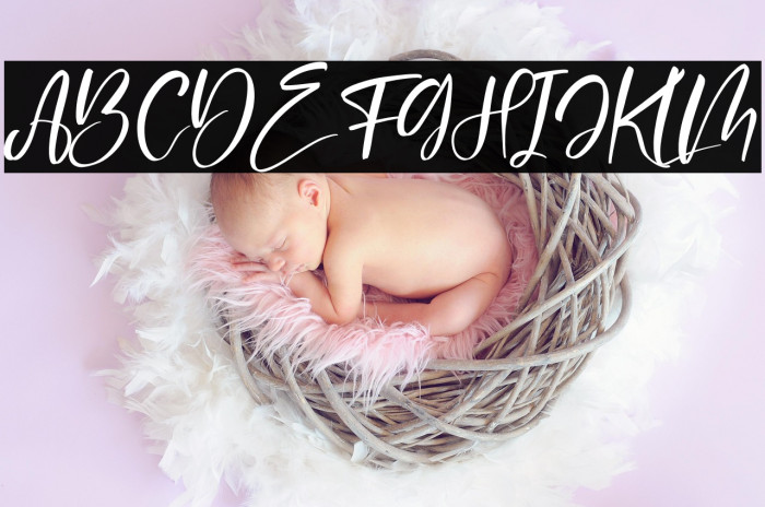 Delashanty Italic Example 3