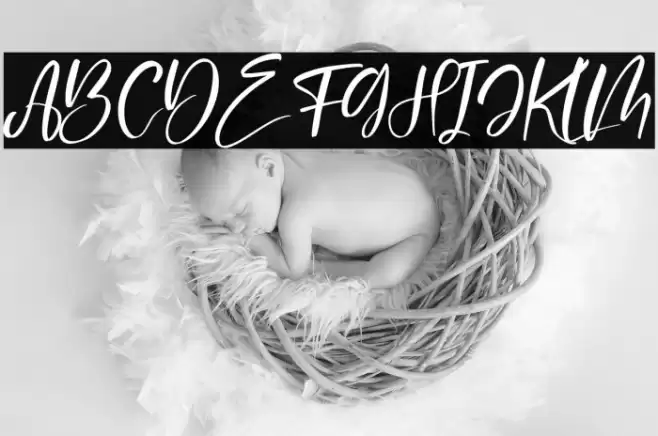 Delashanty Italic Font examples