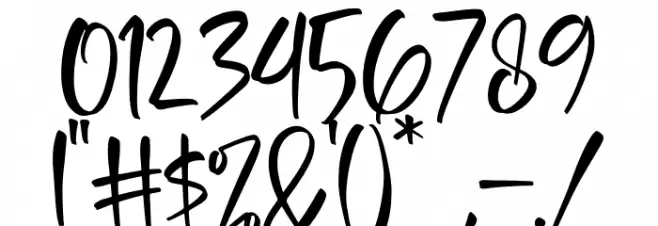 Delashanty Font OTHER CHARS