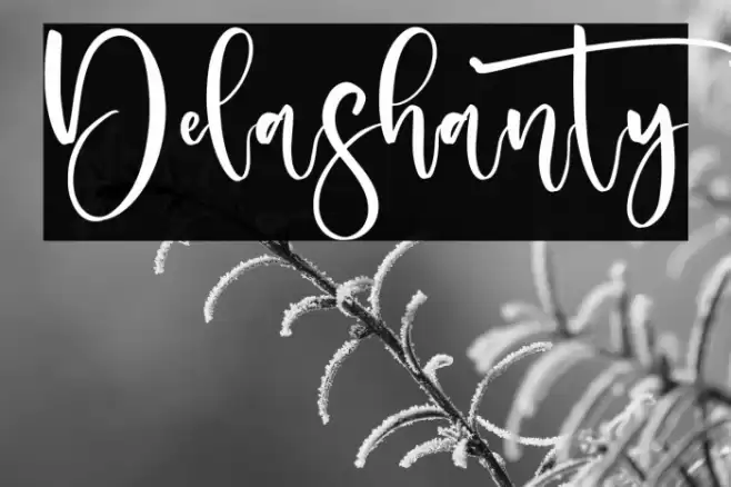 Delashanty Font examples