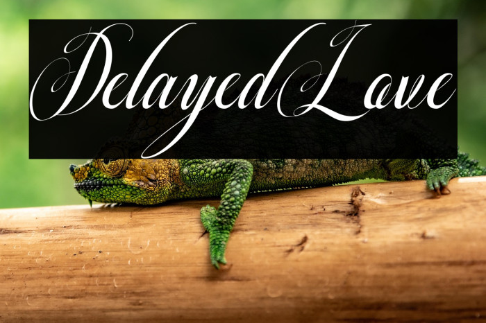 DelayedLove Example 2