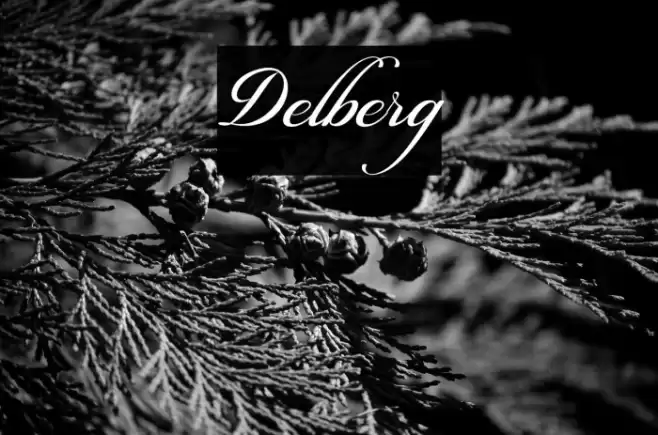 Delberg Font examples