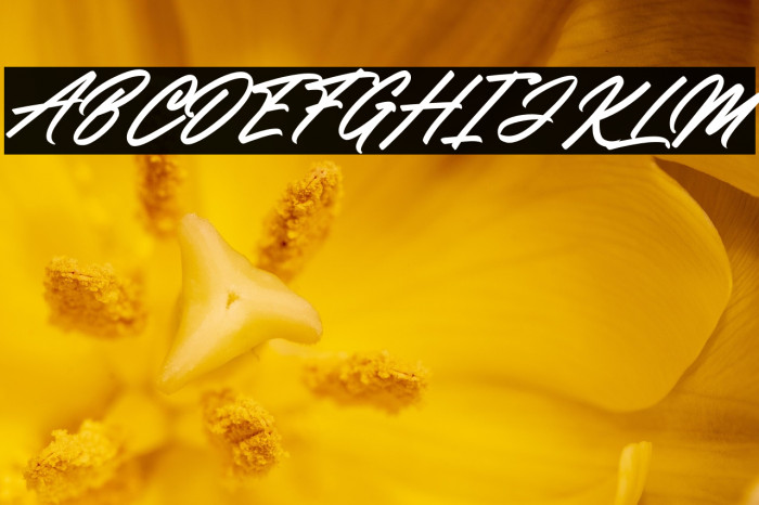 Delegante Champion Example 2