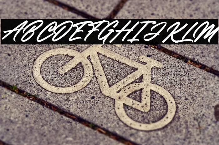 Delegante Champion Example 3