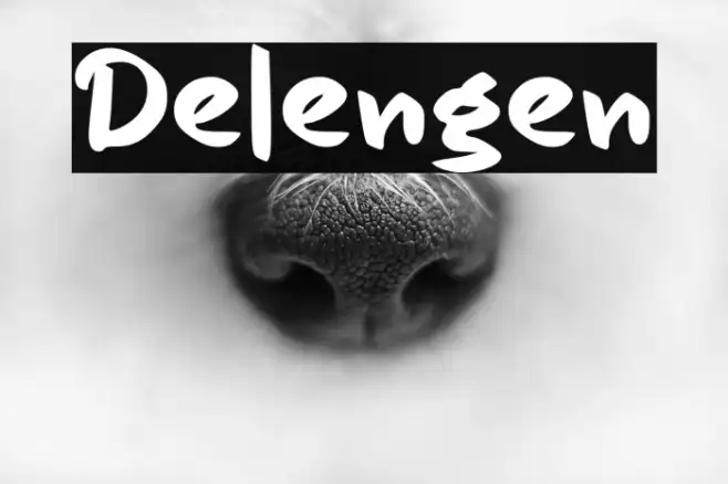Delengen Example 1