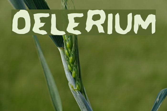 Delerium Font examples