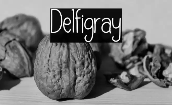 Delfigray Font examples