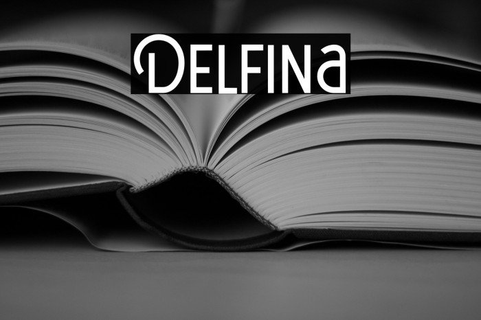 Delfina Example 1