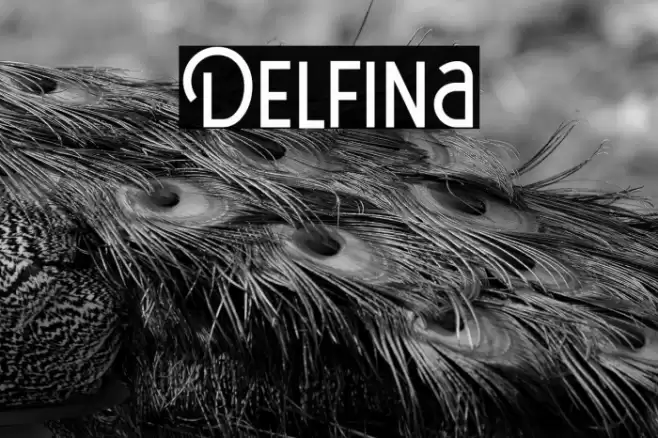 Delfina Font examples