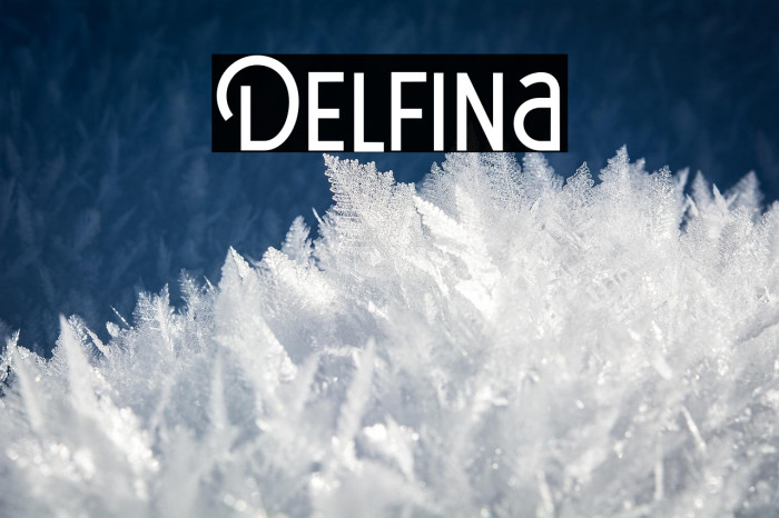 Delfina Example 3
