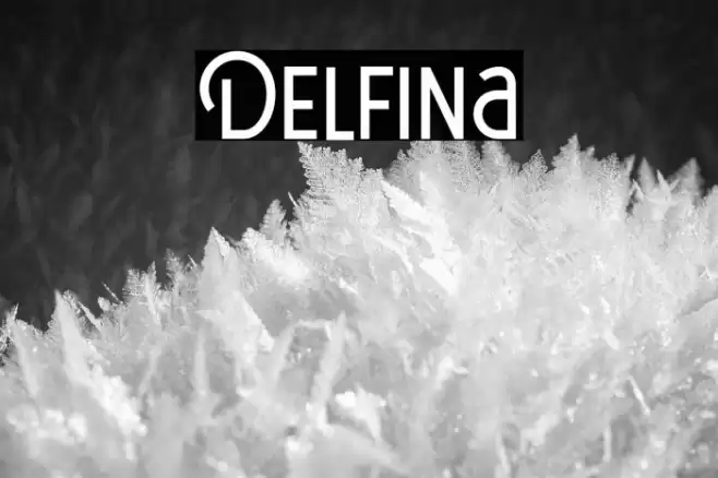 Delfina Font examples