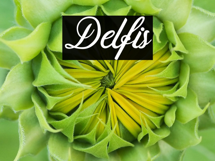 Delfis Example 1