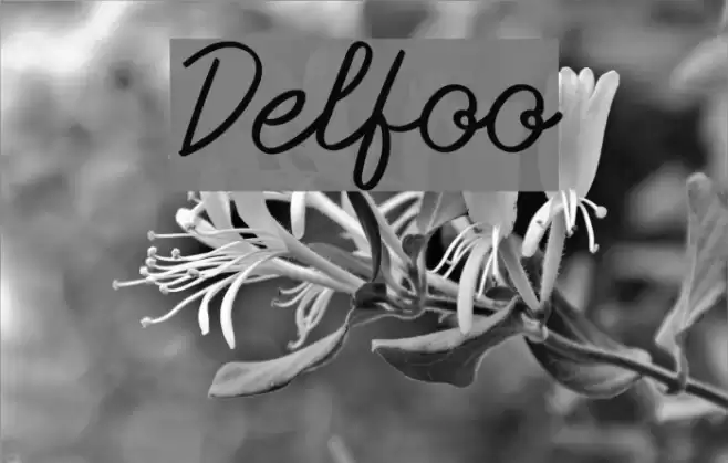 Delfoo Font examples