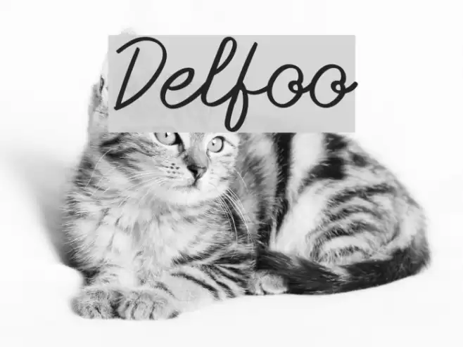 Delfoo Font examples