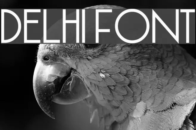 Delhi Font examples