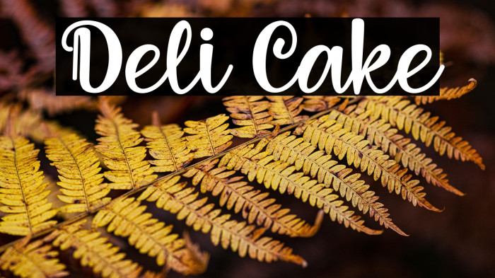 Deli Cake Example 2