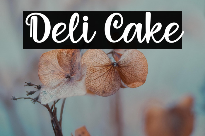 Deli Cake Example 2