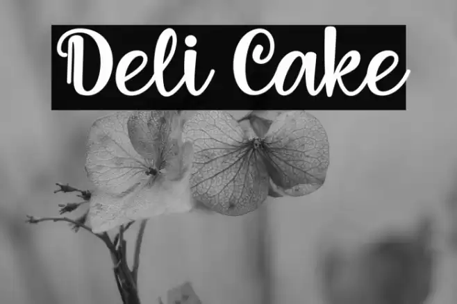 Deli Cake Font examples