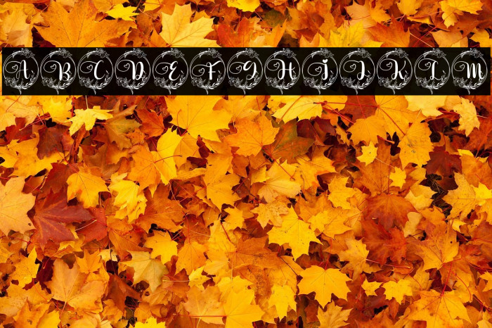 Delia Monogram Example 3