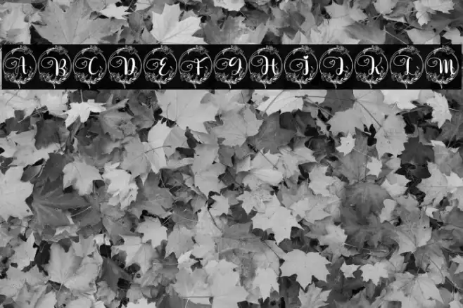 Delia Monogram Example 3