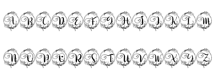 Delia Monogram Font LOWERCASE