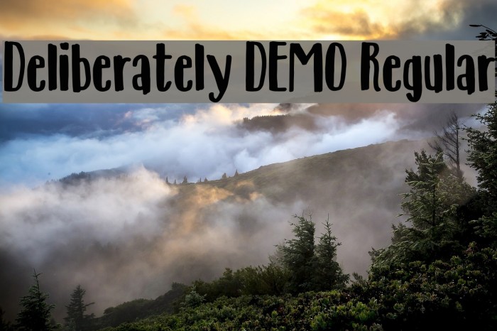Deliberately DEMO Regular Font examples