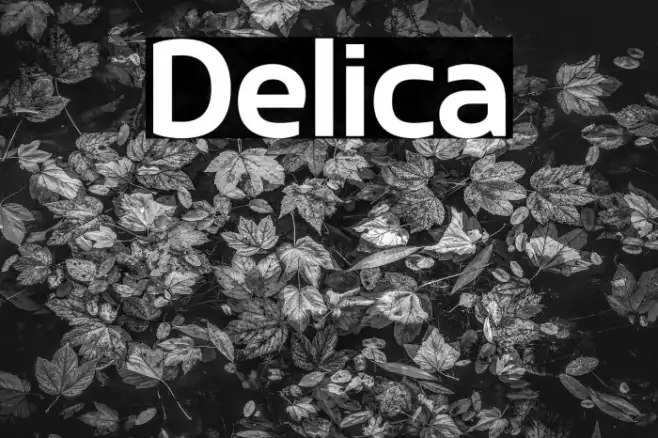 Delica Example 1