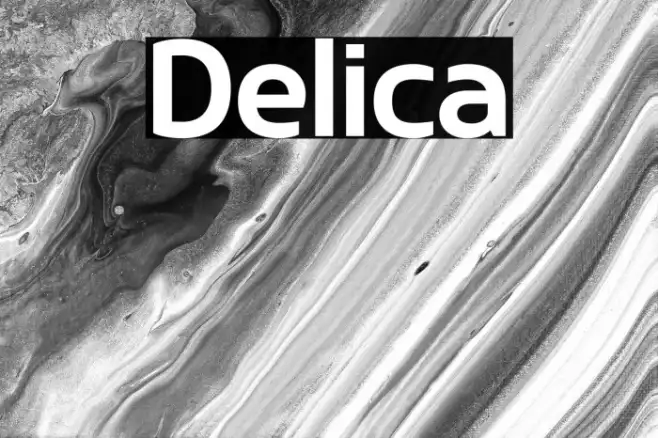 Delica Example 2