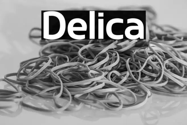 Delica Example 3