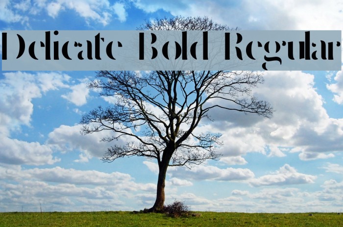 Delicate Bold Regular Example 1