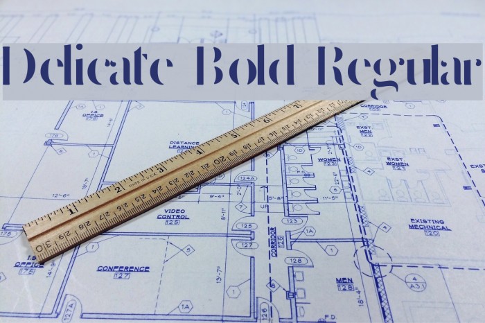 Delicate Bold Regular Example 3