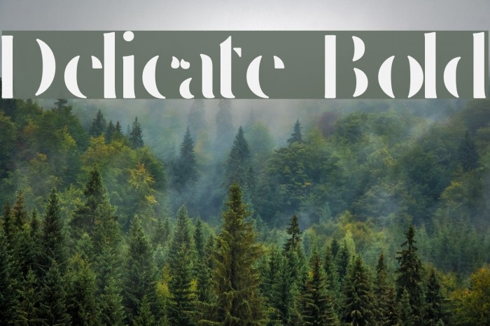 Delicate Bold Example 2