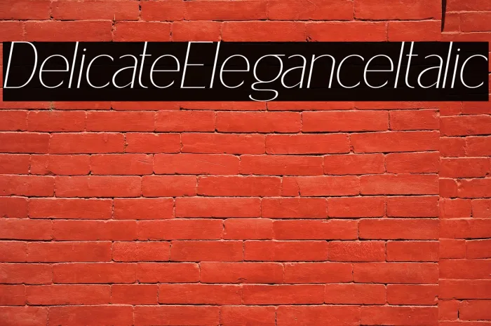 Delicate Elegance Italic Example 1