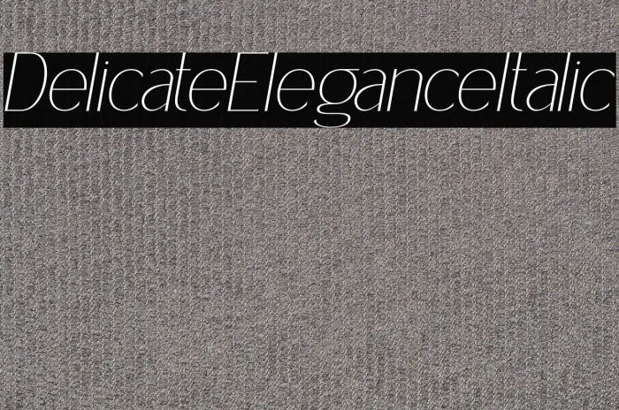 Delicate Elegance Italic Example 2