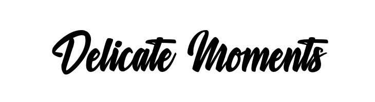 Delicate Moments  免费字体下载