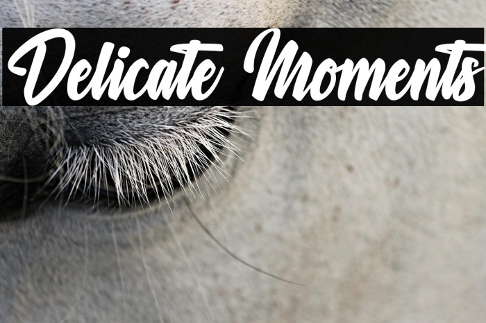 Delicate Moments Example 3