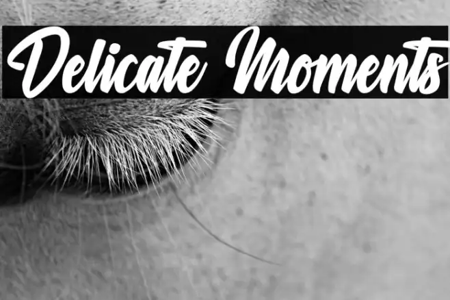 Delicate Moments Example 3