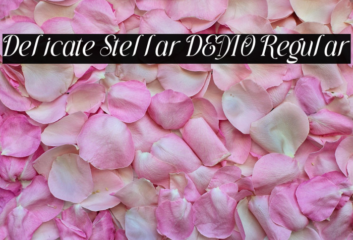 Delicate Stellar DEMO Regular Font examples