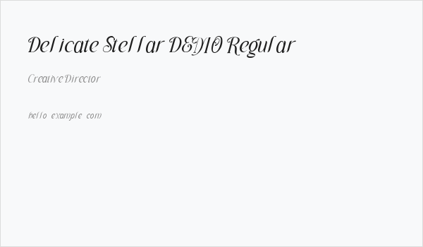 Delicate Stellar DEMO Regular Business Card