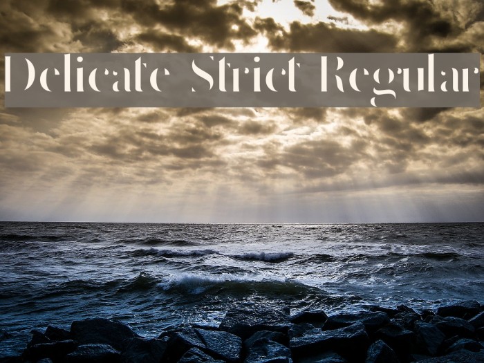 Delicate Strict Regular Example 1