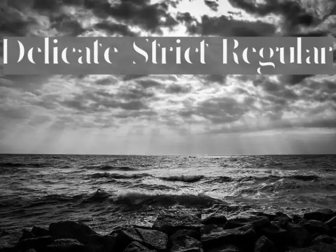 Delicate Strict Regular Example 1