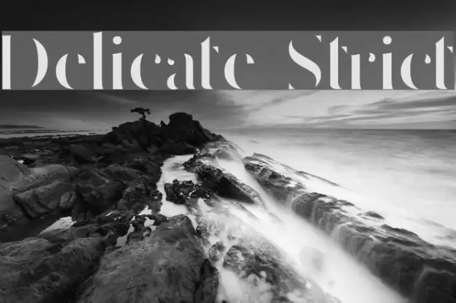 Delicate Strict Example 1