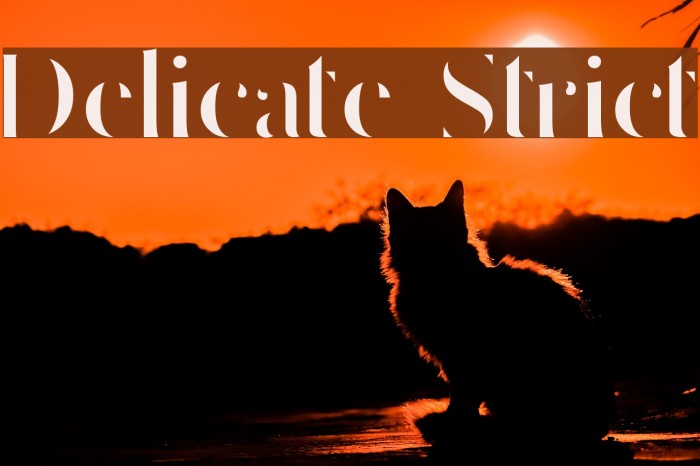 Delicate Strict Example 2