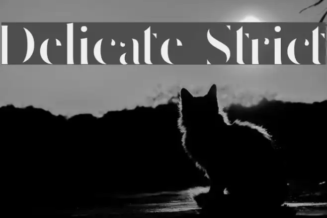 Delicate Strict Example 2