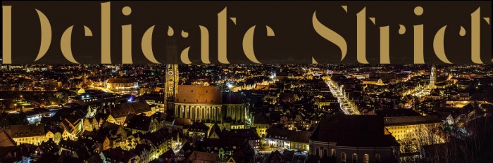 Delicate Strict Example 3