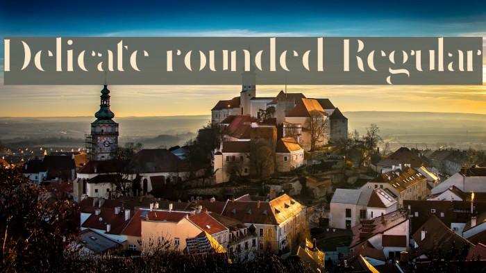 Delicate rounded Regular Example 1