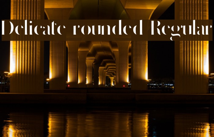 Delicate rounded Regular Example 2