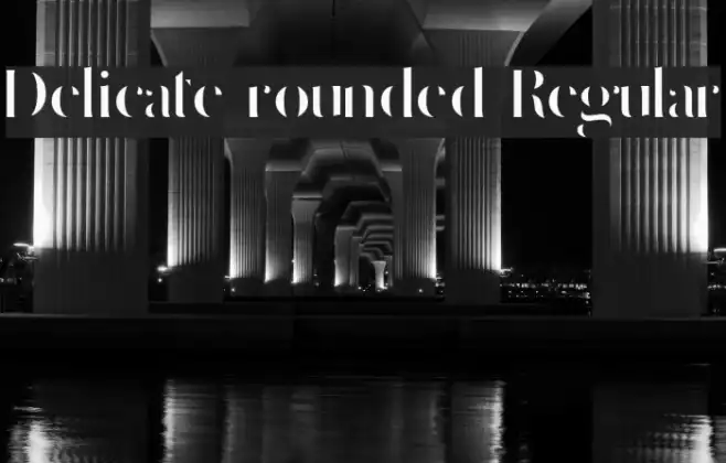 Delicate rounded Regular Example 2