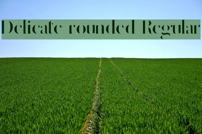 Delicate rounded Regular Example 3